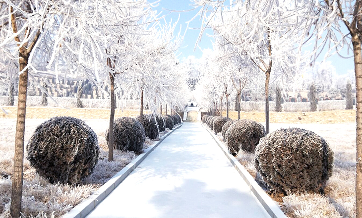 在最冷的季节,来龙生看最美的雪