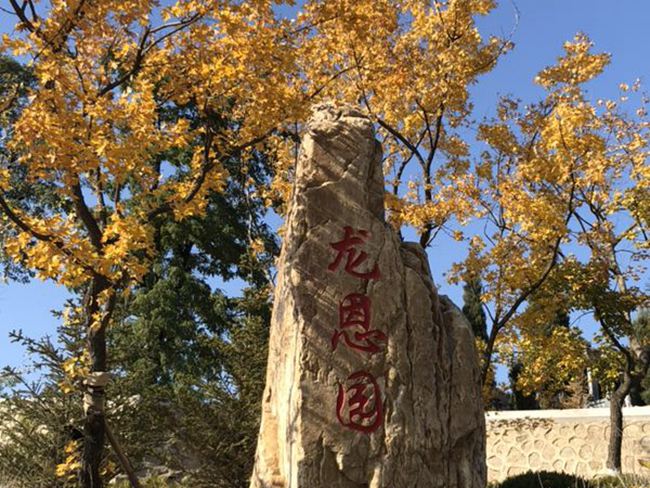 龙生墓园举行灭火演习,增强员工防火意识